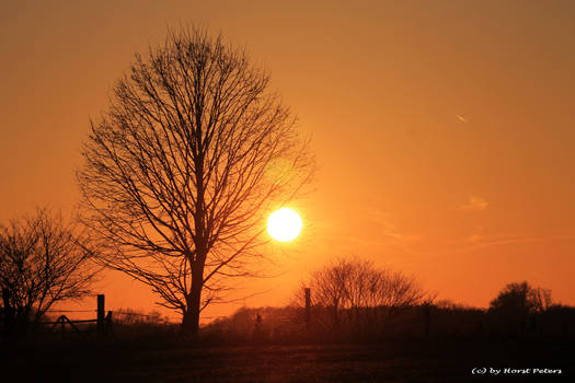 Early Spring Sunset