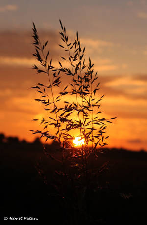 Sunset 54 by bluesgrass Sunset 54 by bluesgrass