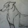 random wolf