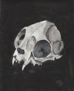 Cat Skull Gouache Sketchbook 300dpi