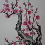 plum blossoms