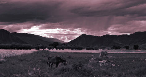 Mountain,Tibet,2012