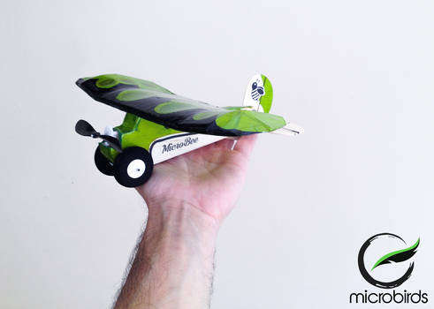 Micro Lazy Bee RC airplane