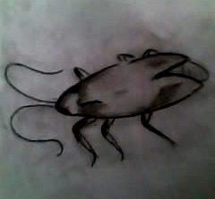 2012 drawing - Cockroach