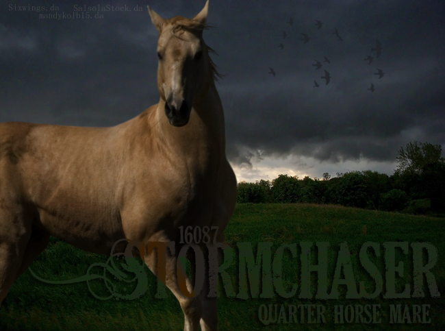 Stormchaser