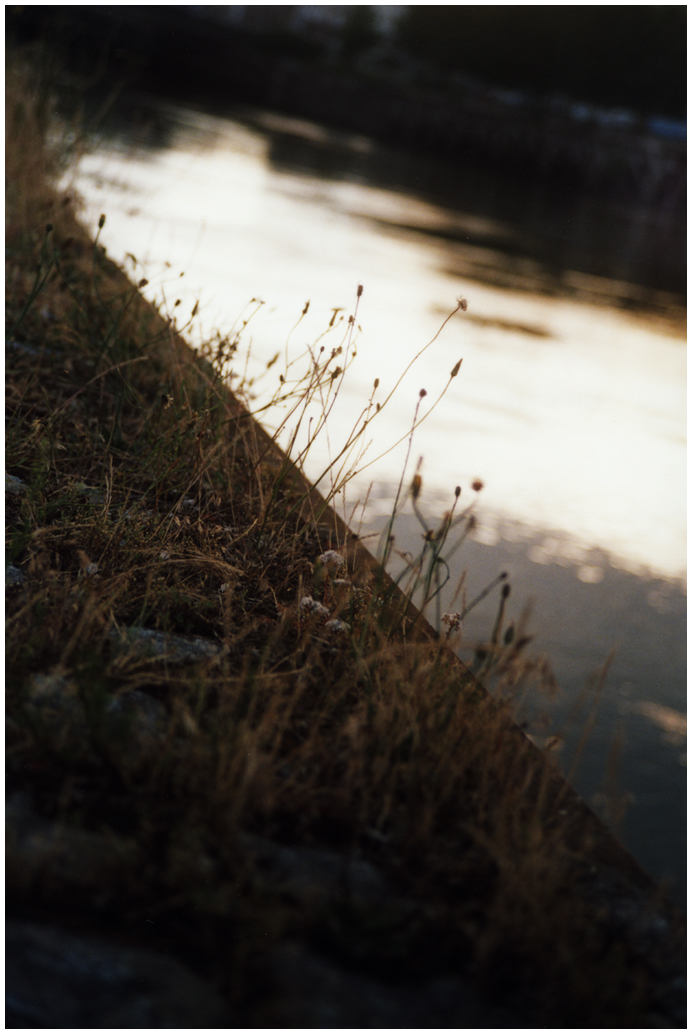 Slender heads above water