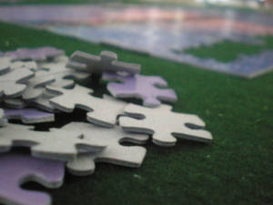 Life's Puzzle