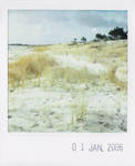 dune II by prismopola
