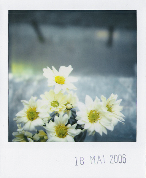 flowers in the street