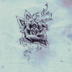 traditional rose flash