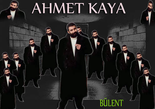 ahmet kaya fan