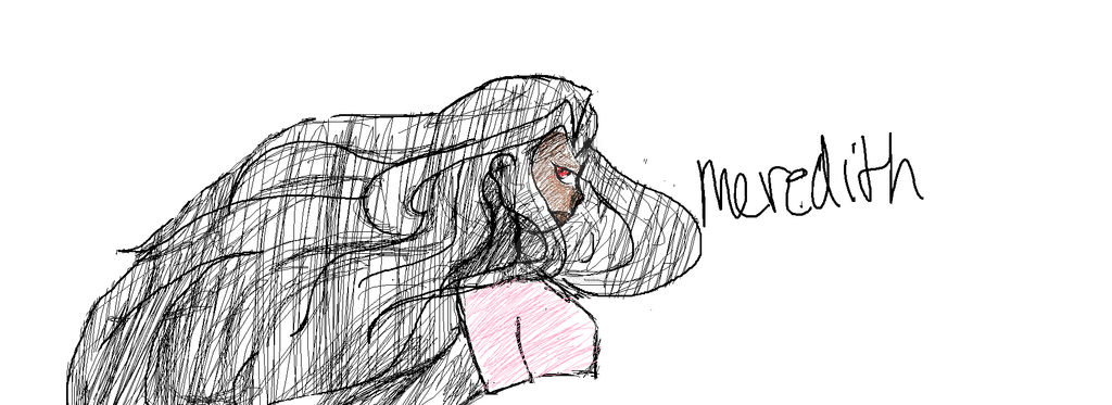 Meredith Sketch by KiwiPeachTV on DeviantArt