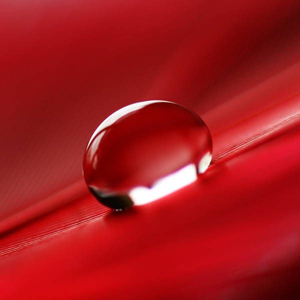 Red Drop