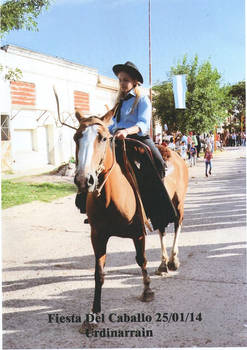 Fiesta Provincial del Caballo (Urdinarrain)