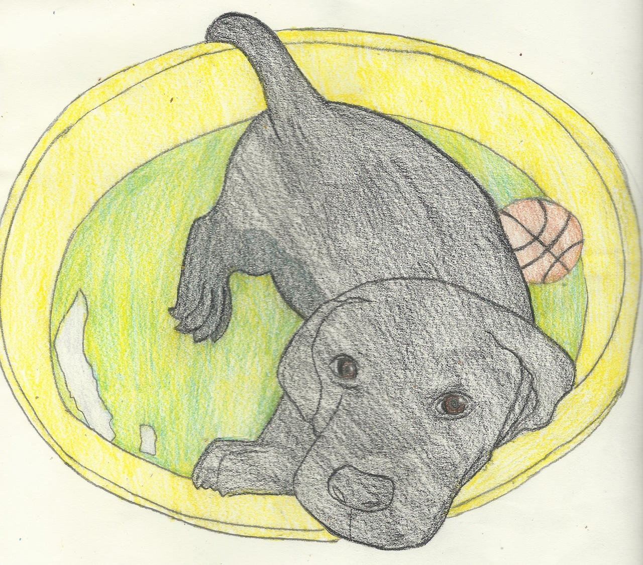 Black Lab Deviantart Black Labrador Puppy by 11BlueTwinkle on DeviantArt