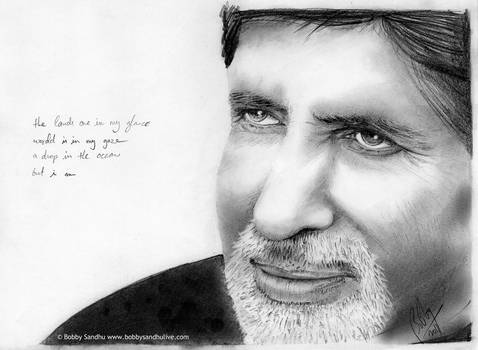 Amitabh Bachchan Pencil Portra