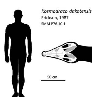 Explore the Best Simoedosaurus Art | DeviantArt