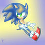 Sonic the hedgehog