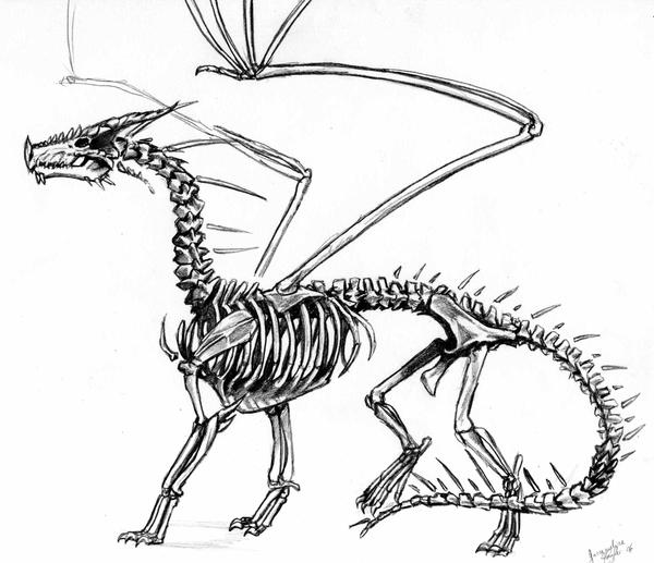 Db Skeleton Dragon's Skeleton by ElementJax on DeviantArt