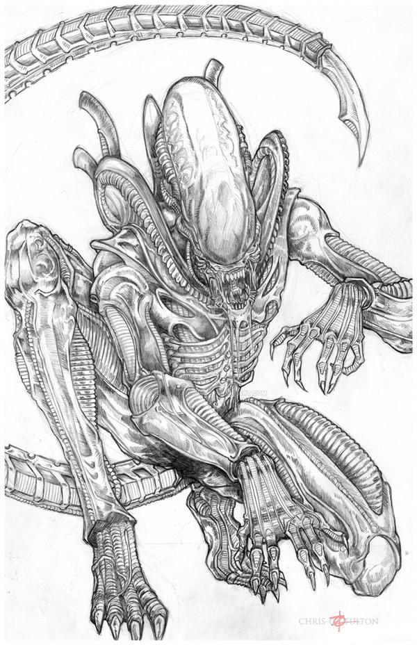 Xenomorph Alien