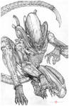 Xenomorph Alien by ChrisOzFulton
