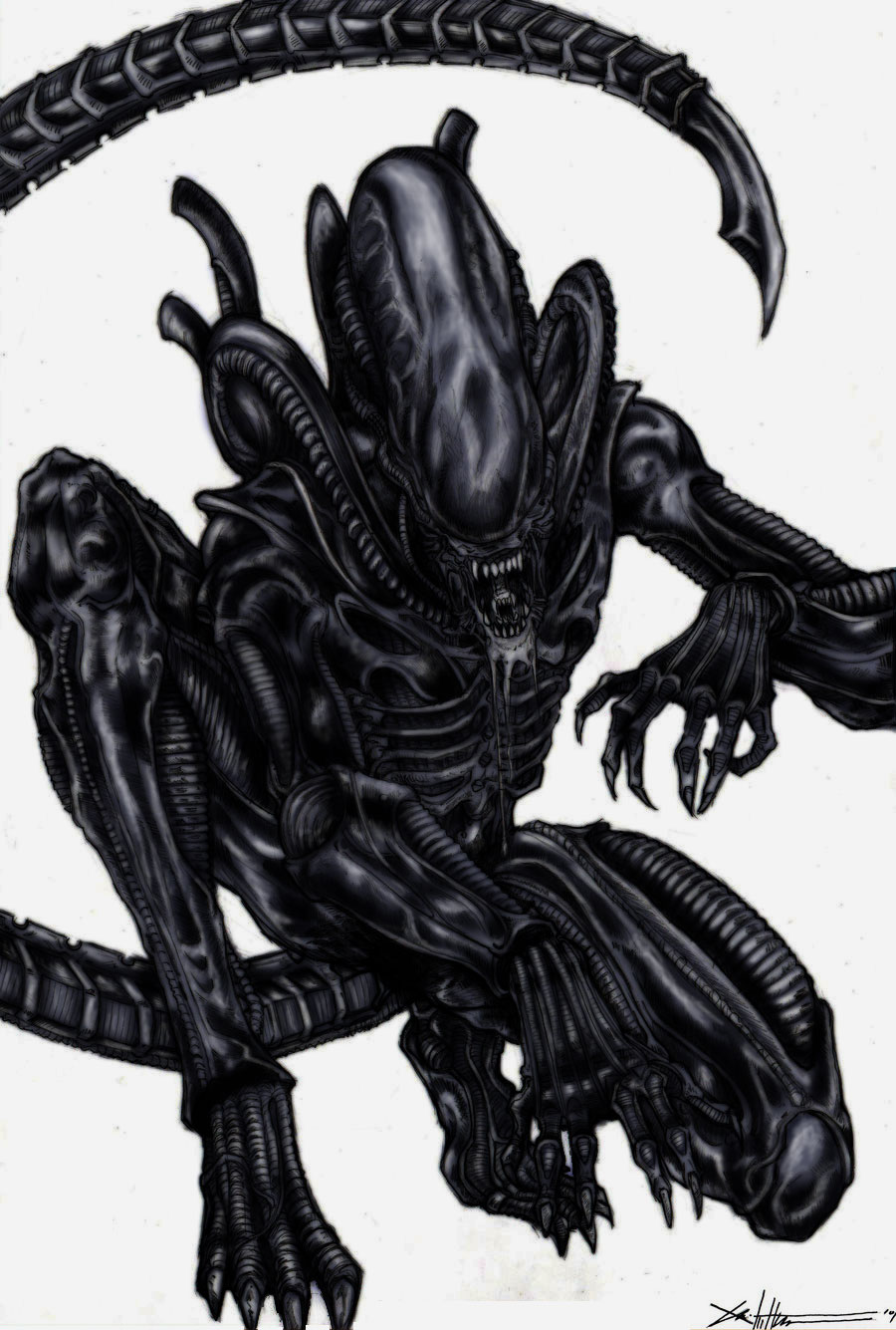 Xenomorph alien: colored