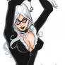 Black Cat 2