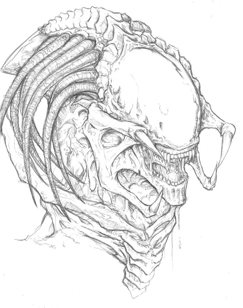 Predalien by ChrisOzFulton on DeviantArt