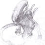 xenomorph alien