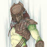 Falconer predator color
