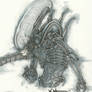 Xenomorph Alien Drone