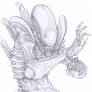 Xenomorph Alien