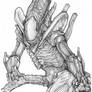 Xenomorph Alien