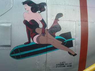 Aircraft pinup