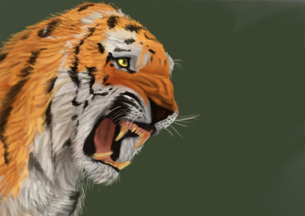Tiger Reference Tiger Reference by jurrac45601 on DeviantArt