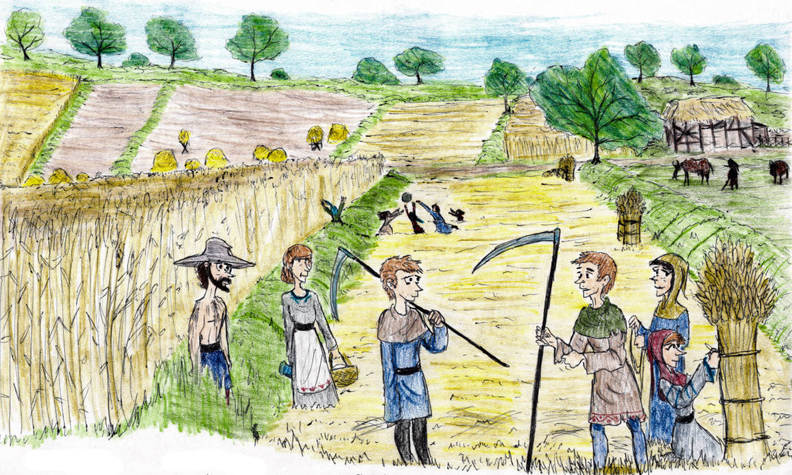 Open Field System By Timbukdrew On Deviantart Open Field System By Timbukdrew On Deviantart