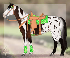 Western Pon Adopt - SOLD