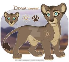 Dzuwa | Personal Character