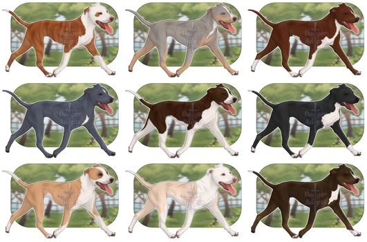 Pibble Adopts - 1/9 OPEN