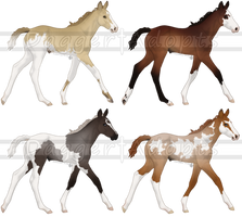 $2+ PWYW Foal Adopts - 2/4 OPEN