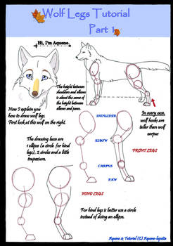 Wolf legs tutorial PART 1