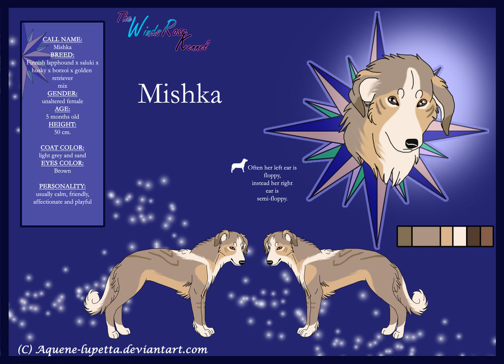 Mishka_ Model-sheet