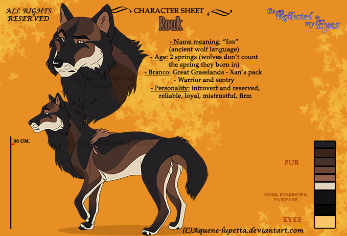 Rouk_Character-sheet by Aquene-lupetta on DeviantArt
