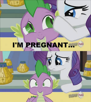 Rarity is pregnant