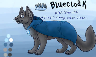 Bluecloak Reference