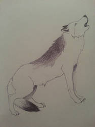 Howling Wolf