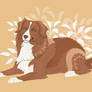 Nova Scotia Duck Tolling Retriever