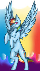 Rainbow Dash 