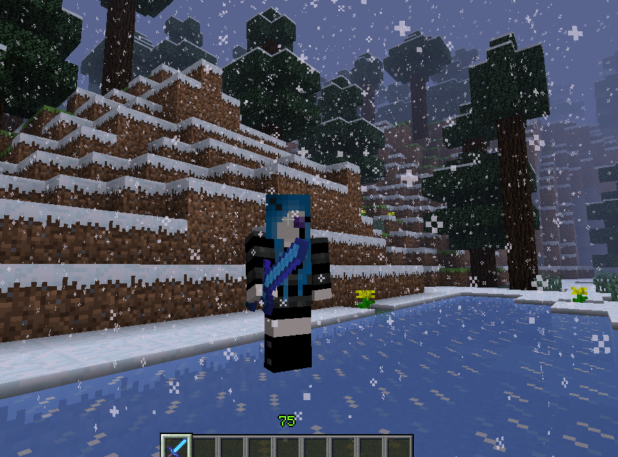 My Minecraft Character