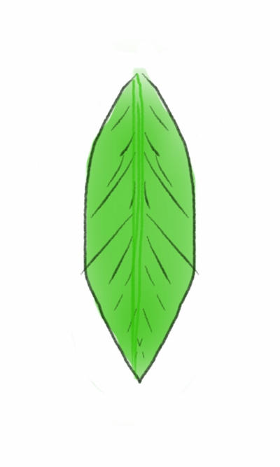 leaf challenge 